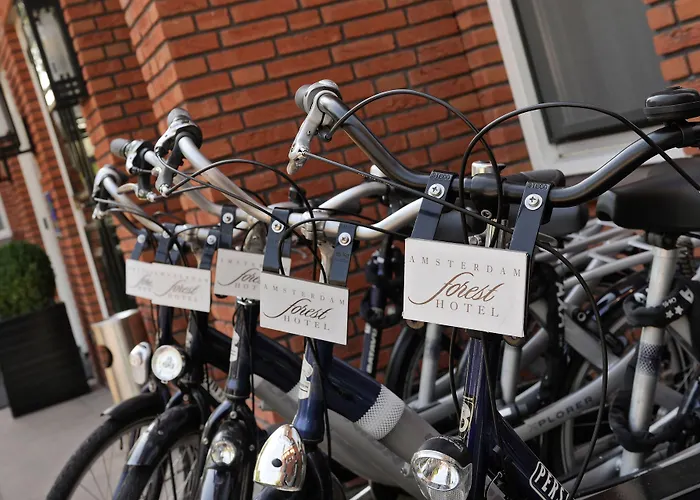 阿姆斯特丹森林酒店